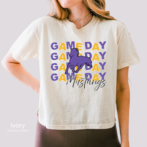 Comfort Colors Boxy Crop Game Day Tee