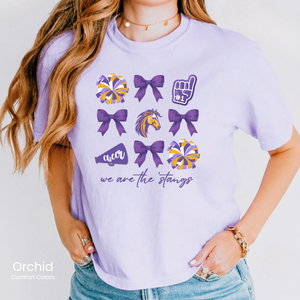 Comfort Colors Boxy Crop We Are The Stangs Cheer Tee