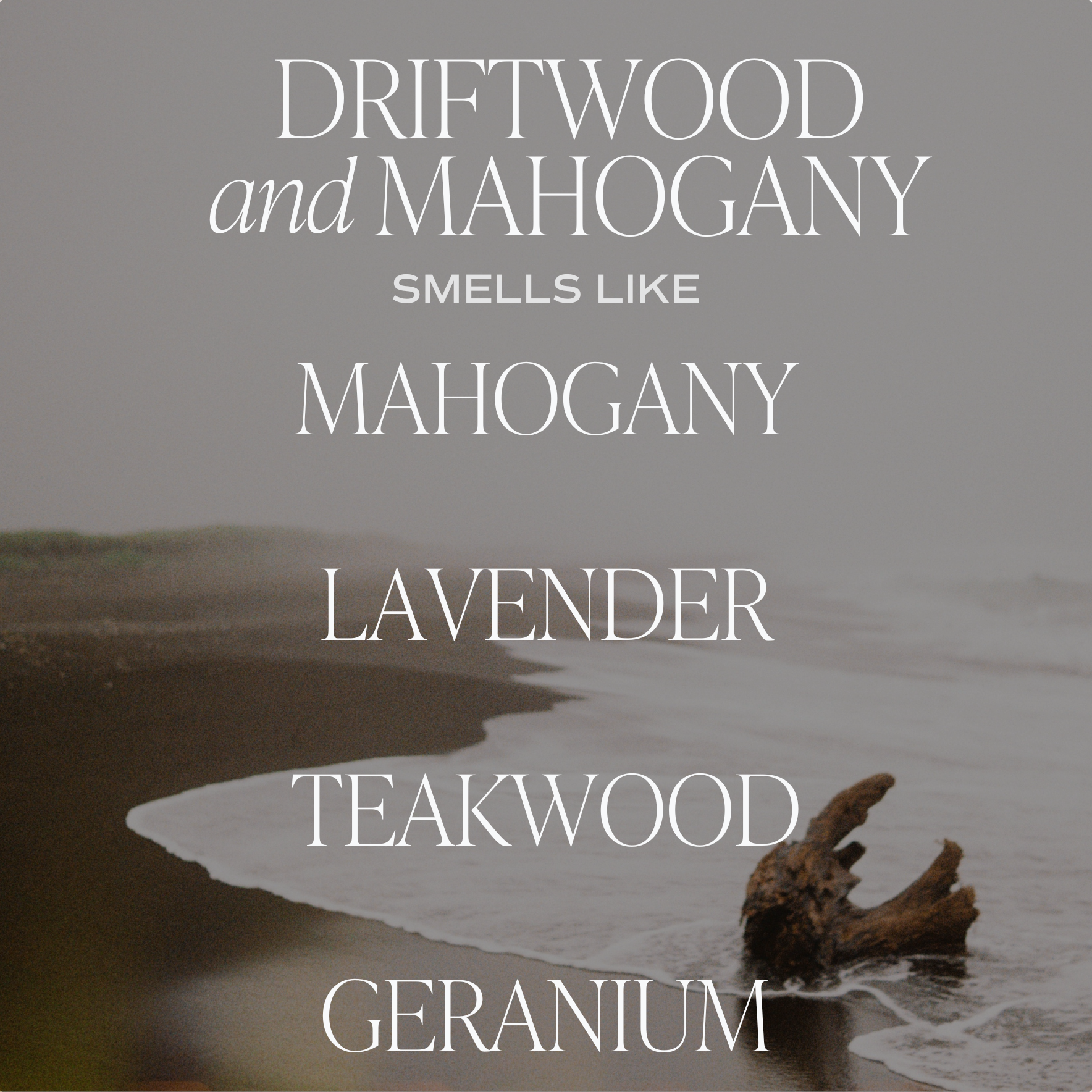 Driftwood + Mahogany 11 oz Soy Candle
